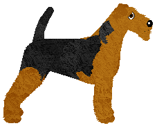 Energizing Opera Mydlana — “Opera”