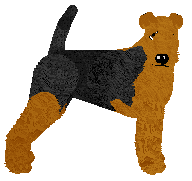 Profile image of Energizing Opera Mydlana