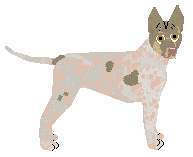 Profile image of Dragosani CRAZY LADY