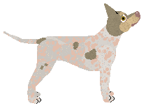 Dragosani CRAZY LADY — “Próba”