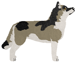 Dragosani W PIWNICY U DZIADKA — “Lya”