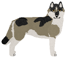 Profile image of Dragosani W PIWNICY U DZIADKA