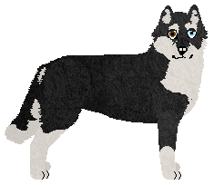 Profile image of Dragosani I LOVE YOU