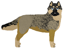 Profile image of Dragosani KAN TRACE