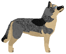 Dragosani MISTRZ GŁUPICH MIN — “Santor”