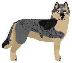 Profile image of Dragosani MISTRZ GŁUPICH MIN