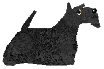 Energizing The Goblet Of Fire — “JJ”