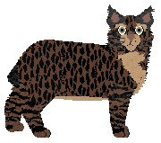 Vanilla's Patty Cake — “Patricia”