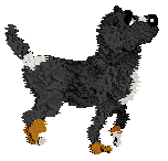 Profile image of StHM's Short & Sweet at Vanilla