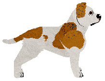 Hard Rock Fisher King — “Jagwar”