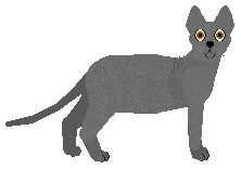 Glitterfeet's Poddington Peas — “Bistro”