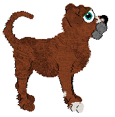 Profile image of Mutter's Royal Clown