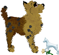 Profile image of EC's Stars and Stripes Forever