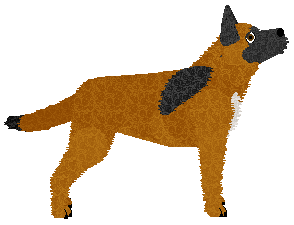 Dragosani OBSYPANY BROKATEM — “Brokat”