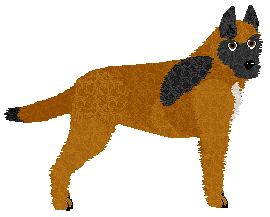 Profile image of Dragosani OBSYPANY BROKATEM