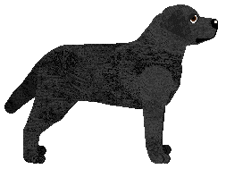 Blizzard CROSSROAD BLUES — “Collin”