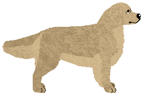 Evanescence Circle of Life — “Kiara”