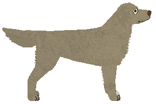 Blue Little Room's The Edge of Glory — “Ollie”