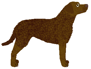 Wanderlust Gone With The Wind — “Paris”