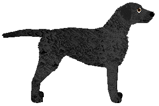 MORPHEE's Loki — “Matt”