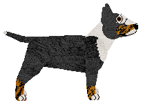 Cansas' It's A War — “Bentley”