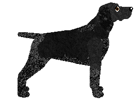 Caraway Hijack My Heart — “Otis”