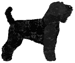 Pumpkin Latte of Van Tassel — “Boo”