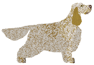 Spitfire's Kingston Town — “Oliver”