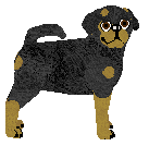 Profile image of Silkwitch Why Are You Like This