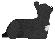 Energizing TOO LONG, SO FAR — “Mandy”