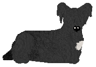 Energizing TOO LONG, SO FAR — “Mandy”