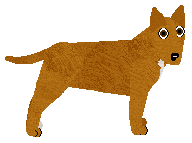 Profile image of Energizing Wredne Rude