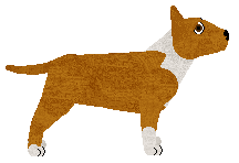 Perfect Bully of Kezia — “Sky”