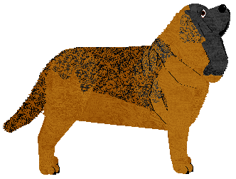 Pogarda Shape Shifter — “Shift”