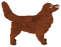 Redum DARK DEVIL — “Rato”