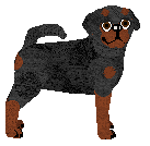 Profile image of Silkwitch I Need You To Stop