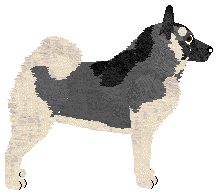 Koiyaki Fade Into Darkness — “Juneau”