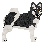 Profile image of Silkwitch Golden Child