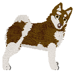 Profile image of Silkwitch Overachiever