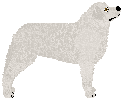 Királyi Kincse Pompás — “Nell”