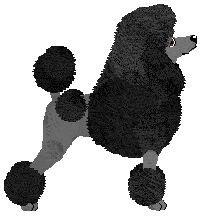 Sautillé Blackberry Smoke — “Jeżyna”