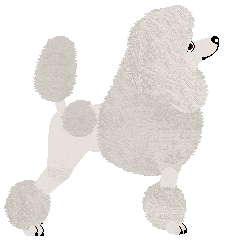 Sautillé Highly Explosive — “High”