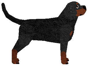 Cansas' Just Like a Tornado — “Elecktra”