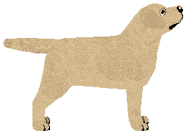 Ozon's Polly Wants A Cracker — “Vincent”