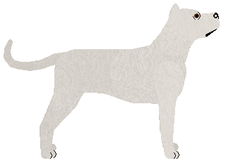 Cansas' Go Berserk — “Hulk”