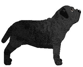 SWSK's Favourite Problem — “Rumba”