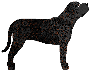 Cansas' No Exit — “Merlin”