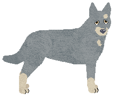 Eli's Oracle of Delphi — “Phoebe”