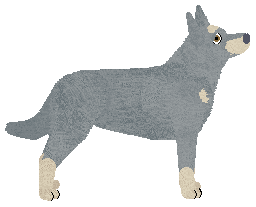 Eli's Oracle of Delphi — “Phoebe”