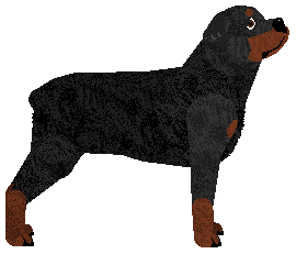 Cansas' Know Your Worth — “Remi”